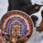 Is Raw Food for Dogs the Best Diet