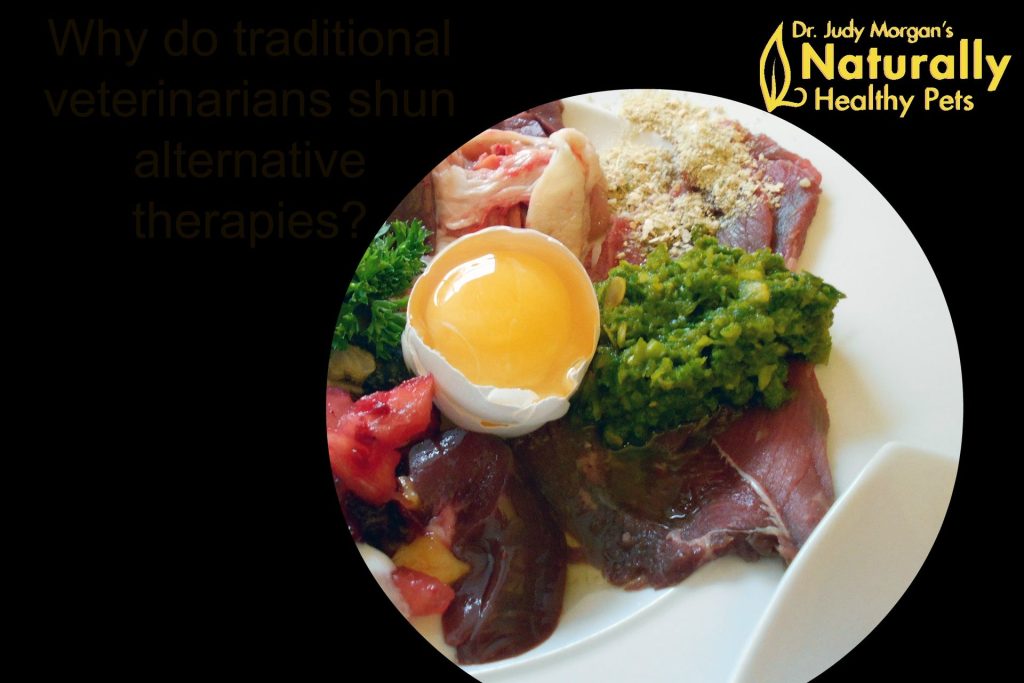 Is Raw Food Good for Dogs With Cancer