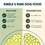 Is Raw Food Or Kibble Better for Dogs