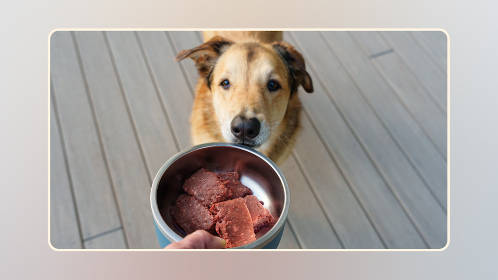 Is Raw Foods Raw Food Diet for Dogs