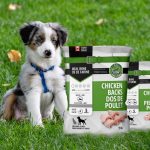 Is There an Affordable Solution for Raw Dog Food Diet