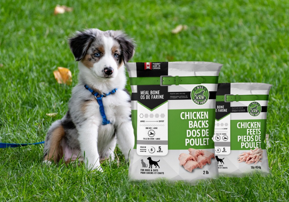 Is There an Affordable Solution for Raw Dog Food Diet