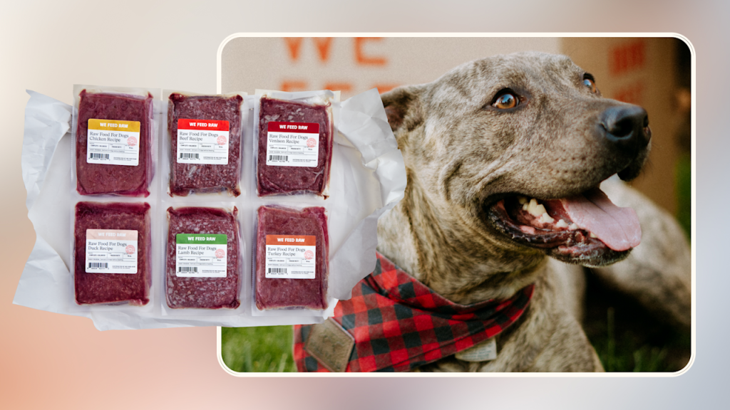 Is We Feed Raw Food for Dogs