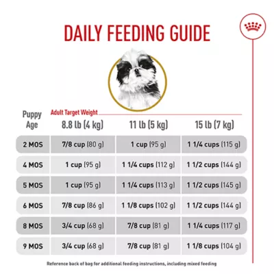 Is.Adult.Dog Food.Too.Harsh on a Puppues.Belly