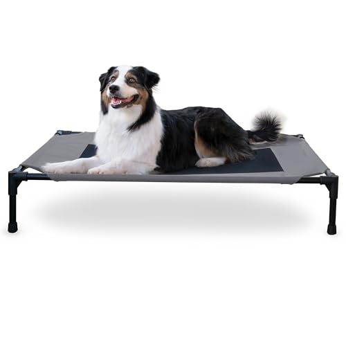 K&H Pet Products Elevated Dog Bed