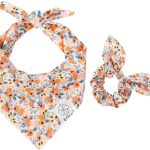 Matching Dog And Owner Accessories