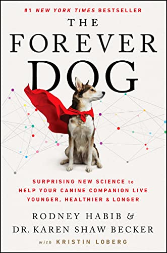 Mike Shapiro Best Long Dog