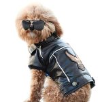 Motorcycle Accessories for Dogs