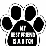 My Best Friend My Dog
