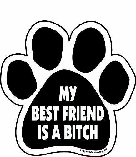 My Best Friend My Dog