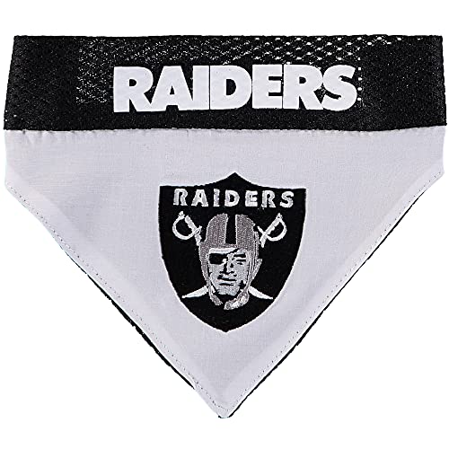 Oakland Raiders Dog Accessories