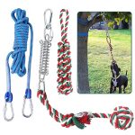 Outdoor Dog Kennel Accessories