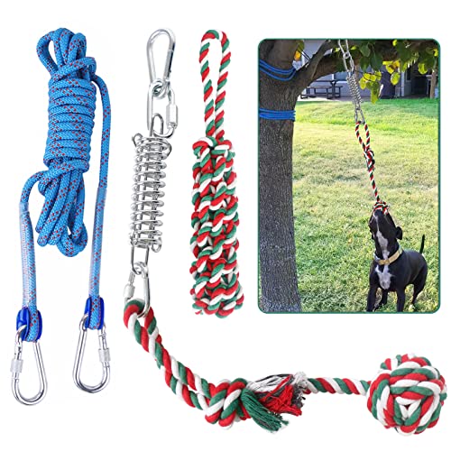 Outdoor Dog Kennel Accessories
