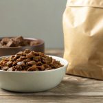 Should You Feed Adult Dog Wet Or Dry Food