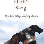 Songs About Dogs Being Best Friends