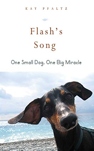 Songs About Dogs Being Best Friends