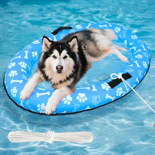 Swimming Pool Accessories for Dogs