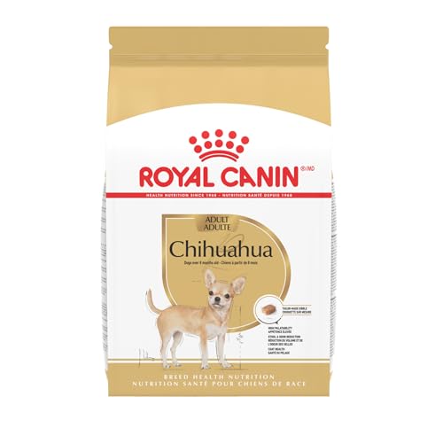 The Best Dog Food for Chihuahuas