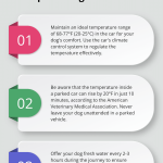 Tips for Car Travel With Dogs