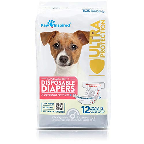 Top 10 Best Protection Dogs