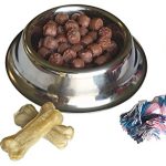 Toy Dog And Accessories