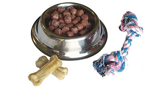Toy Dog And Accessories