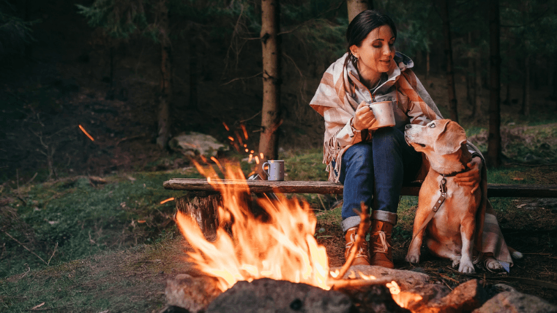 Travel Nursing With a Dog