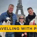 Travel Through Canada With Dog