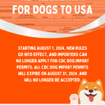 Travel With Dog to Usa