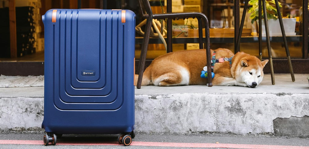 Traveling Abroad With a Dog
