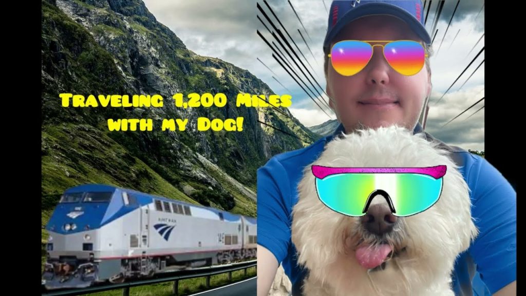 Traveling to Canada from Us With Dog