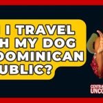 Traveling to Dominican Republic With Dog
