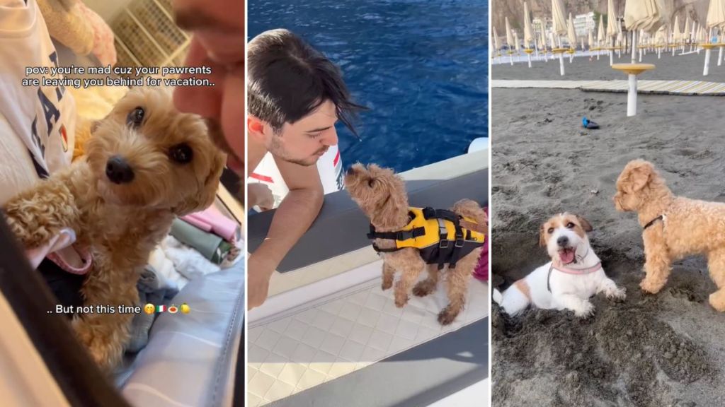 Traveling to Italy With a Dog