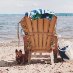 Traveling to Mexico With a Dog
