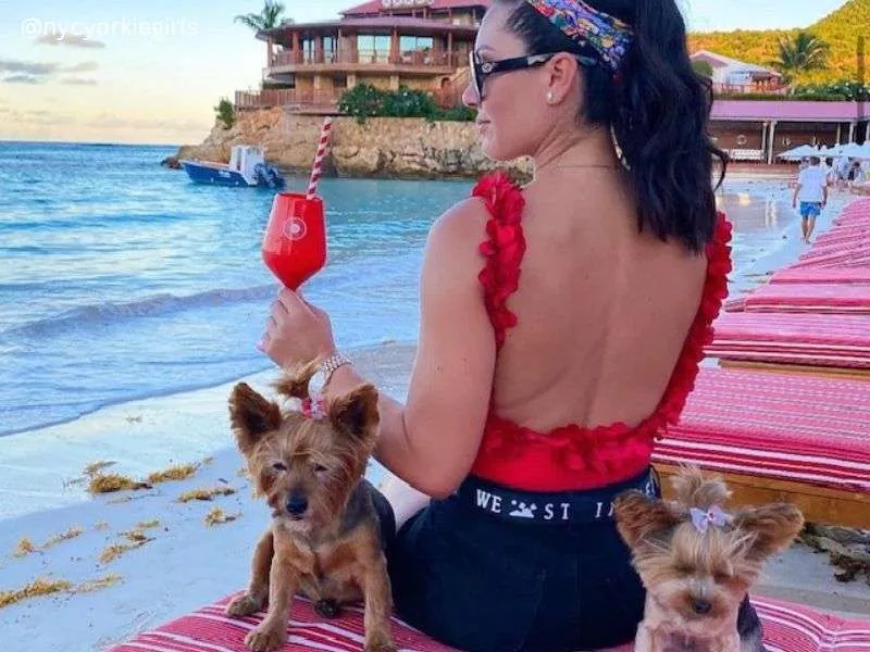 Traveling to Puerto Rico With a Dog