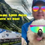 Traveling With a Dog to Canada from the Us