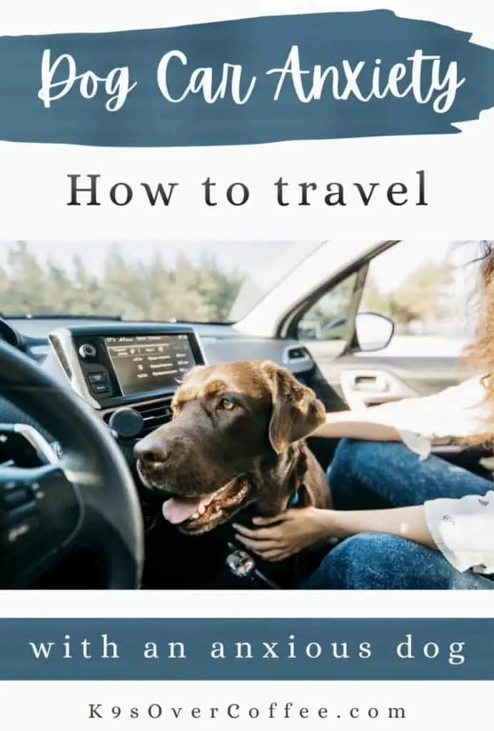 Traveling With Anxious Dog