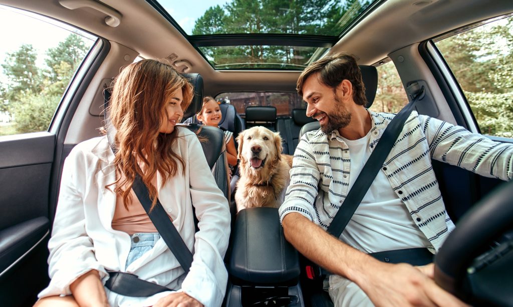 Traveling With Dog in Car