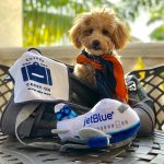 Traveling With Dog to Canada from Us