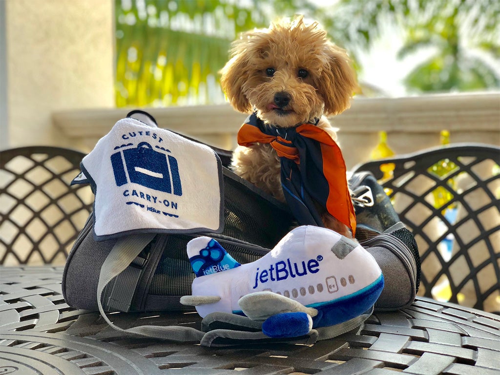 Traveling With Dog to Canada from Us