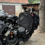 Traveling With Large Dogs
