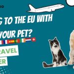 Traveling With Your Dog to Europe
