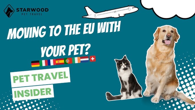 Traveling With Your Dog to Europe