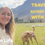 Travelling Through Europe With a Dog