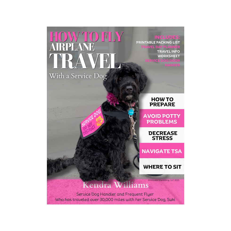 Travelling With a Service Dog