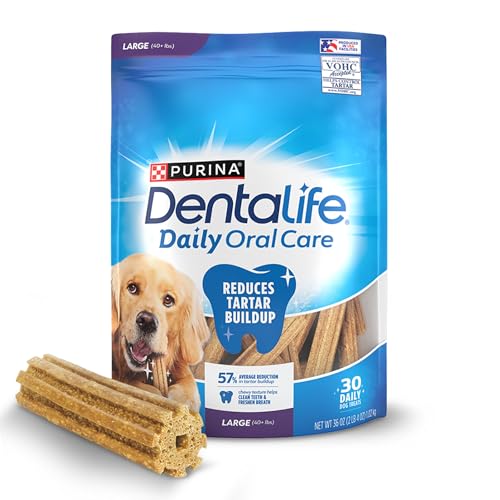 Us States Best Dog Care
