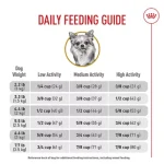 What Age Chihuahua Eating Adult Dog Food