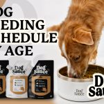 What Age Do Dogs Start Adult Food