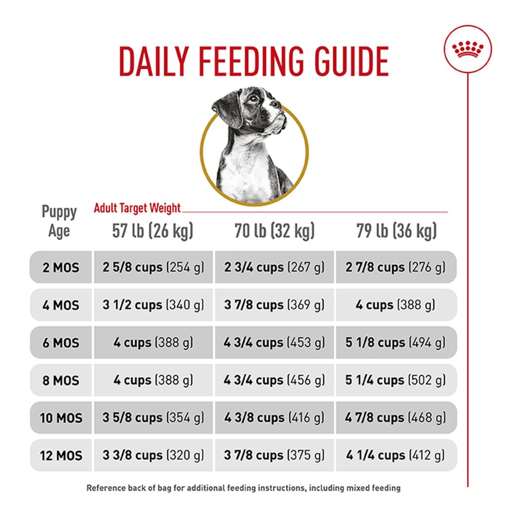 What Age Should Dogs Start Eating Adult Food