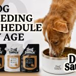 What Age to Feed Dog Adult Blend Food
